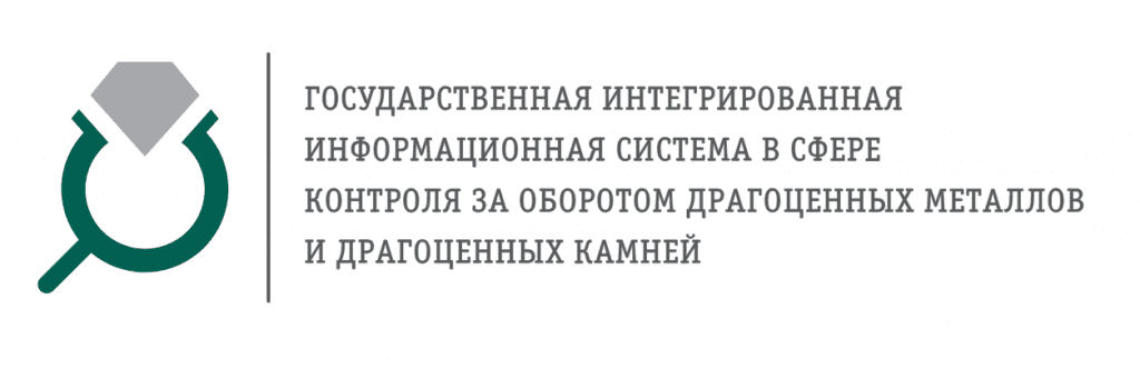 ГИИС ДМДК.png